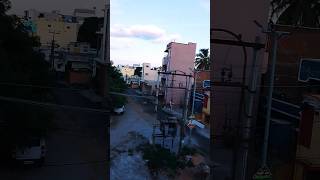 ye gau hai sahab#trending #viral #shorts_video #short❤💚💖