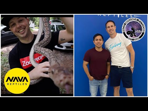LIVE! With Paco Miranda | Nava Reptiles