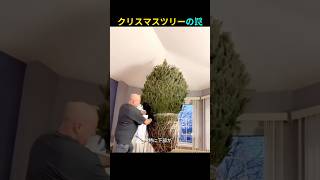クリスマスツリーの広げ方を間違えるとこうなる！衝撃エピソード