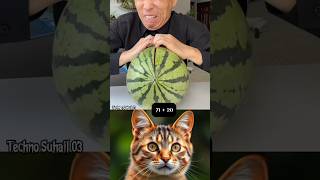 Ohio I Need Watermelon 😭 #trending #cat #catshorts #viral