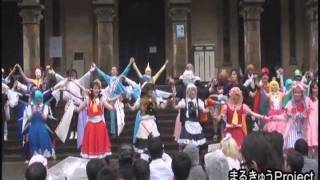 【東大生が】チルノのパーフェクトさんすう教室【踊ってみた】'11駒場祭