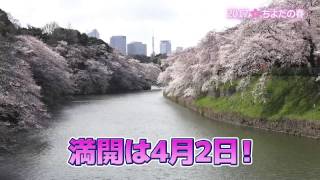 【4月の千代田区の話題！】