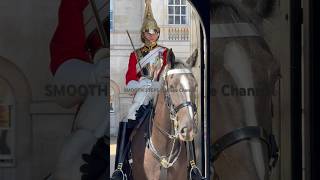 HORSE Looks so cute🥰❤️ #kingsguard #horse #royalkingsguards #horseguardsparade #londonwalk #guards