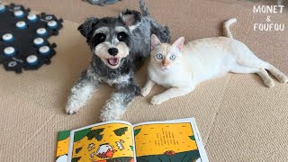 Wow! So clever! A cat asks for something in a new word