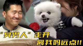 博美是個“重度媽寶”，只愛媽媽討厭爸爸，將雙標體現的淋漓盡致