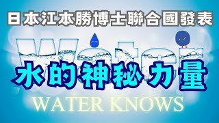 The mysterious power of water | Dr. Masaru Emoto of Japan | The deep meaning of love and gratitude