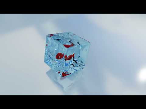 Goldfish in a soft jello cube