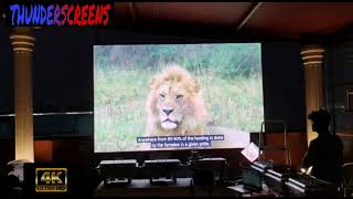 Thunderscreens Led 140 Inch TV | Smart TV #India #digital tv