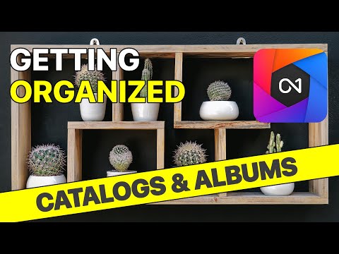 Organization  Catalogs & Albums