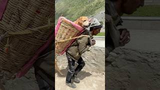 Badrinath yatra❤️ #shorts | Anant Rastogi