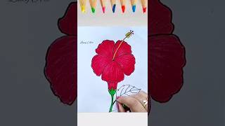 Hibiscus Flowers Drawing|| How to Draw Hibiscus Flowers Easy
