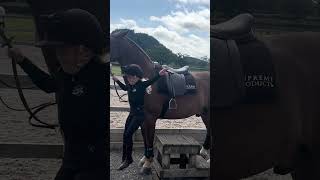 POV: the horse is XL but your legs are XS 😂🐴 #funny #bighorse #horseshorts #horses #equestrian