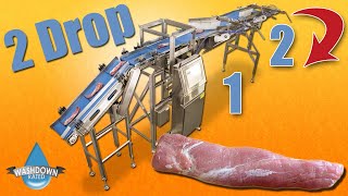 Pork Tenderloin Sortation with 2 Drop Bins