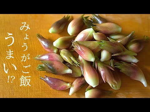 みょうがご飯、うまい！ただ、最後に大事なものを忘れました・・・みょうがだから!?