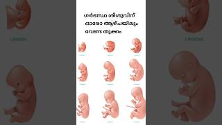 ഗർഭകാലത്ത് ഓരോ ആഴ്ചയിലും കുഞ്ഞിന് വേണ്ട തൂക്കം #pregnancyninemonth #pregnancy #shot #trending #live