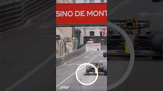 Pigeon Spooks Race Leader 😱 #Shorts