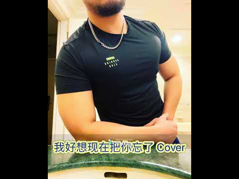 我好想现在把你忘了 Cover