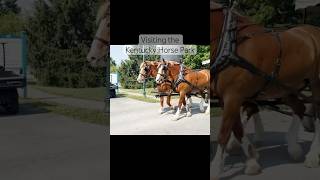 What’s your favorite feature of the Kentucky Horse Park? #equestrian #horsevlog #barnvlog