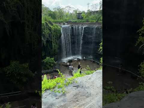 Curtain falls at the Newly Opened Bird Park  | #birdparksingapore #mandaiwildlifereserve