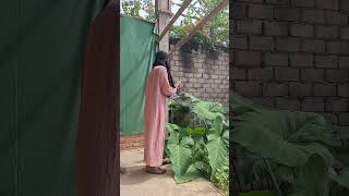 ketika istri demam konten #komedi #javacomedy #comedyfilms #inioko #lucu #jawakomedi #comedymovies
