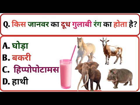 Top 15 Intresting Facts Gk| Fact Quiz| Gk in Hindi| General knowledge| Gk questions and answers| Gk