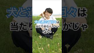 犬と過ごす日々は当たり前なんかじゃない