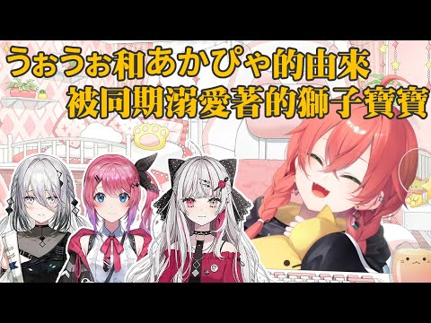 【獅子堂あかり】綽號的由來／被同期溺愛著的獅子堂寶寶【彩虹社剪輯】