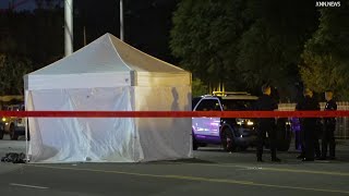 LAPD Investigates Deadly Hit-and-Run in Sylmar; Search Underway for Driver