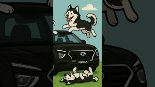 pets #pet #dogs #petsofinstagram #dog #dogsofinstagram #animals #cats #cute #petstagram #love #cat