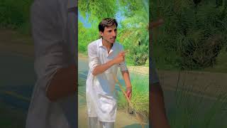 Part1||box mn akhir kiya tha😱|| #funny #comedyfilms #ai