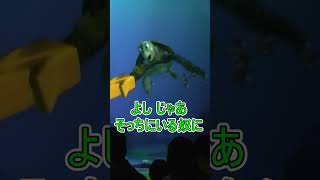 海におもちゃを落としてしまって・・・【タートルトーク】東京ディズニーシー