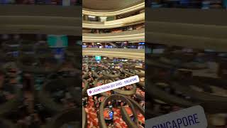 Casino Singapore  #Singapore #TravelVlogs #Money