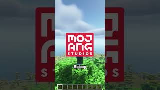 Mojang Can't Optimize Their Game, It's So Laggy...