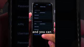 iPhone How to Check Cellular Data No Mobile Internet Problems Part 3