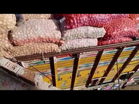 onion export purpose stuffing for container
