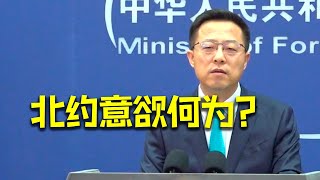 外交部回应“日本加入北约网络防御中心”：北约到底意欲何为？