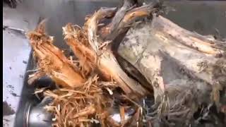Heavy Machine Worlds Modern Working Fast Skill Hydaulic Equipment Shredder Big Tree Shear Stump