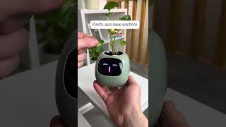 Meet the future of plant care! 🌱🤖#SmartFlowerPot #PetRobot #PlantCare #HomeDecor #emotional