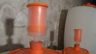 Fermenting wine mesmerizing airlocks in action.