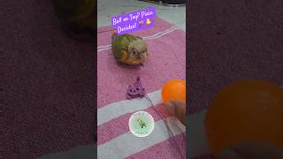 Pixie Takes First Step & Picks Her Favorite Toy! 🐥⚽ | Walk Training Day 2 | Ball Wins!