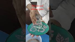 Cohesion and adhesion force #science #experiements #like #subscribe