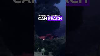 Dark Oxygen:  A Game-Changer for Alien Life