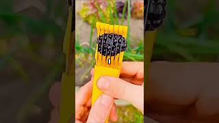 Finish this video 😳👇 #Foryou#Fyp#TrendingNow#ViralVideo#WatchThis#MustWatch#funny #exprolpage