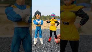 Bulma hates Vegeta  #dragonball #shorts