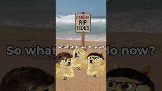 lil doge swims out too far