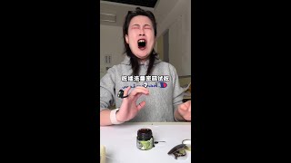 青梅精拿捏 #青梅精 #红温 #咀嚼音 #美食测评 #迪拜巧克力