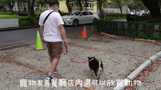 【台北寵物友善】陽明山￼草山小鎮￼與草泥馬約會 大衛小小羊 David&Alpace羊駝餐廳