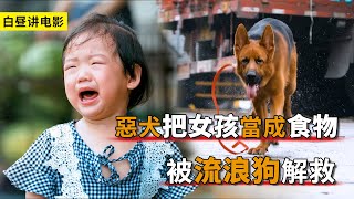 一只惡犬脫離了狗繩，把小女孩當成了食物，好在被流浪狗拯救！