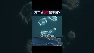 為什麼螳螂跳水自殺？#科普 #冷知識 #抖音 #動物 #知識