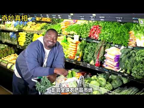 关于美国的100个世界第一